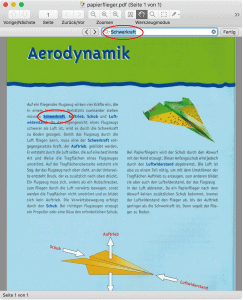PDF-Datei in Skim geöffnet